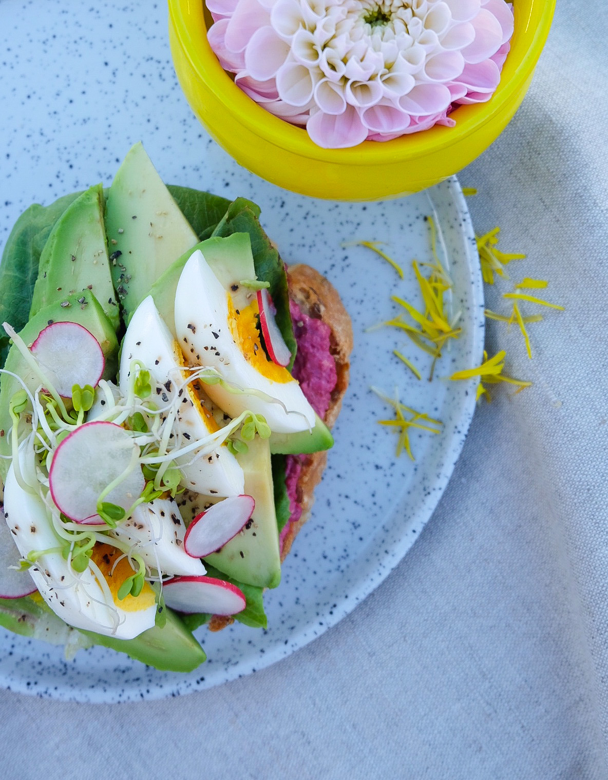 Eggbåter på avakado